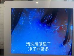 点击看大图 -妍理·植物养发