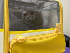 -美联众合动物医院·24h京西诊疗中心