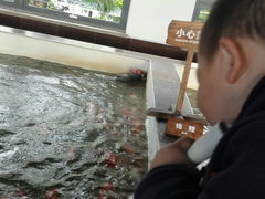 android_upload_pic-南宫羽毛球馆