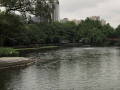 -荔湾湖公园