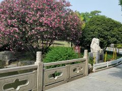 -河泥荡文化公园