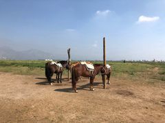 -敕勒川草原文化旅游区