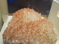 -天津自然博物馆