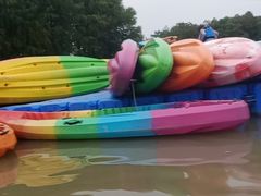 -上海海湾国家森林公园