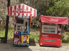 -合肥滨湖国家森林公园