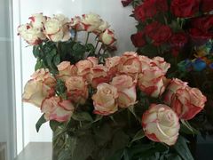 -Blueglass酸奶(财富购物中心店)