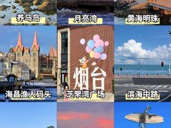 -东辰望海鱼码头·海鲜餐厅