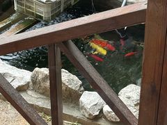 -韩邦朝天锅