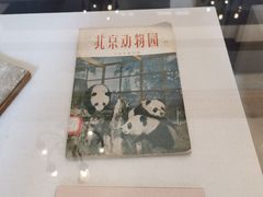 -北京动物园-畅观楼