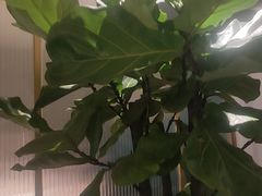 -徐记海鲜(曲江南湖店)