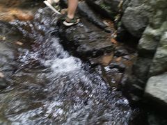 -藏龙百瀑风景区