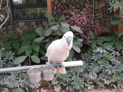 -南宫五洲植物乐园