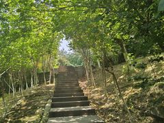 -铁山坪森林公园