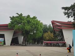 -南宁花花大世界景区