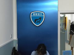 -中农大我爱我爱24h动物医院·中医针灸·猫专科·骨科医疗中心(双井店)