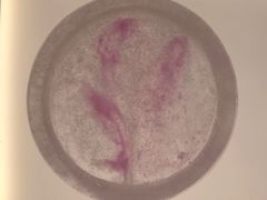 -见山茶事(丽水路店)