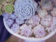 -浔岚云舍mist静谧观景美宿(丽江古城店)