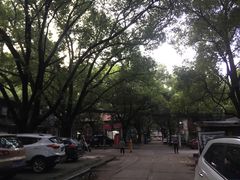 -冶建镜子·老南昌大排档·江西虾王(总店)