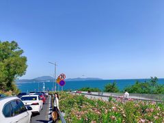 -玫瑰海岸文化旅游度假区