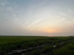 -南汇嘴观海公园