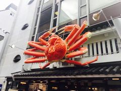 -蟹道乐(道顿堀本店)