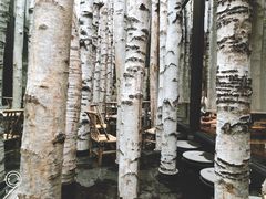 -Metal hands·铁手咖啡