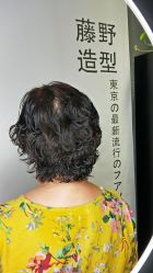 -藤野造型