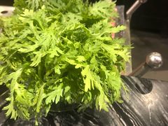 -王家渡火锅店(怀柔迎宾北路店)