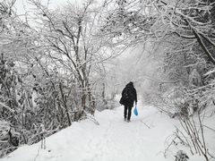 -九峰山