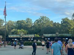 -奥兰多迪士尼动物王国乐园