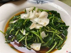 马兰头百合-富临轩私房菜(集庆门大街店)