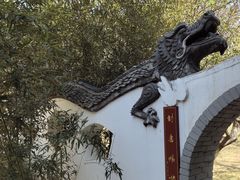 -桃花堤公园