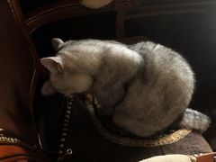 -不舍昼夜咖啡馆