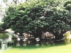 -九龙公园