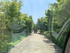 -苏州太湖国家湿地公园