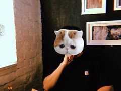 -不舍昼夜咖啡馆