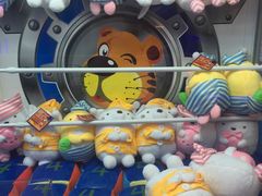 -奇奇乐园电玩城(立丰国际购物广场店)