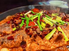 老板恋上鱼-老板恋上鱼(振华商厦店)