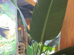 -巴渝瓦肆重庆鲜火锅(宝龙环湖店)