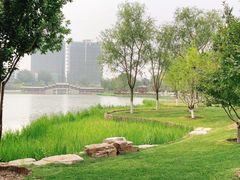 -西海子公园