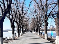 -北陵公园
