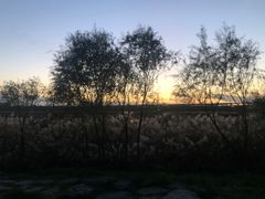 -绿堤公园