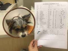 -爱诺耐芙动物医院(万博店)