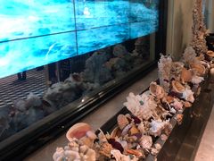 -开海·红岛海鲜虾水饺(石老人店)