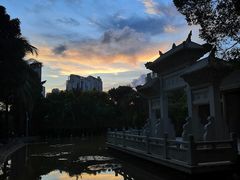 -深圳国际园林花卉博览园