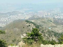 -石老人观光园