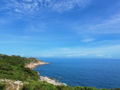 -广东惠东海龟国家级自然保护区