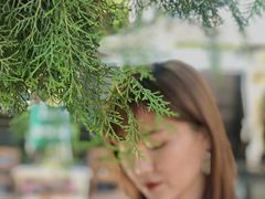 -春风十里咖啡馆