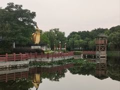 -南山湖公园