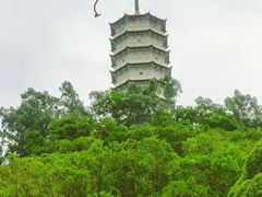 -深圳国际园林花卉博览园